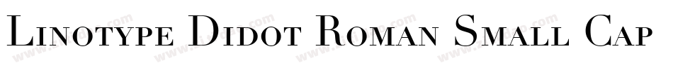 Linotype Didot Roman Small Caps & Oldstyle Figures字体转换